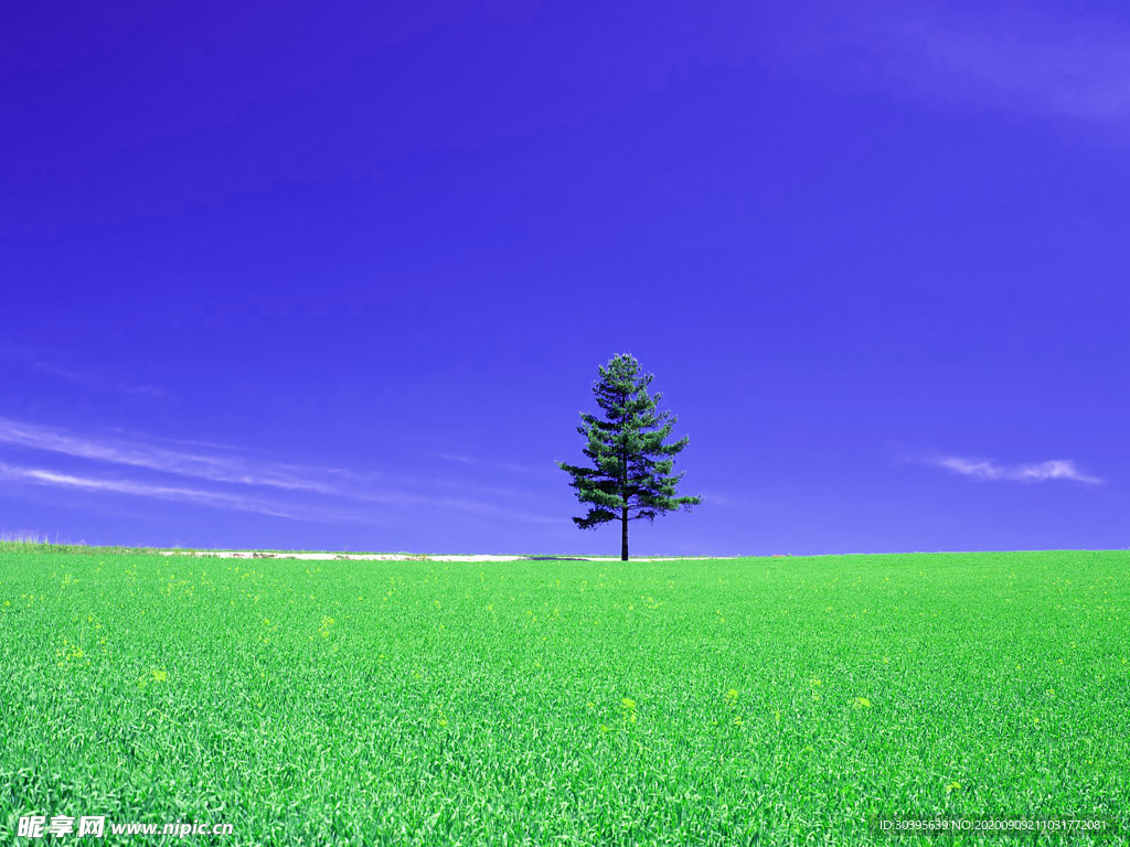 风景