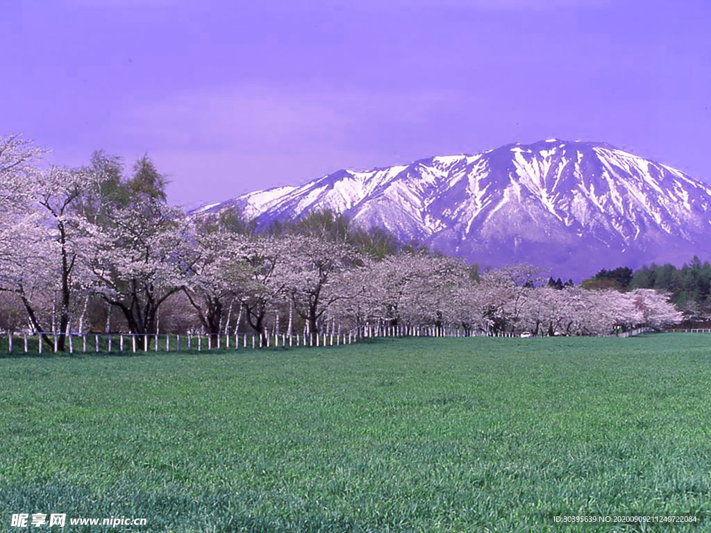 风景