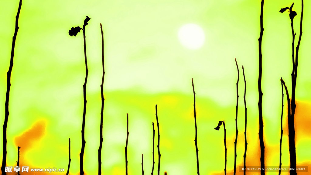 风景
