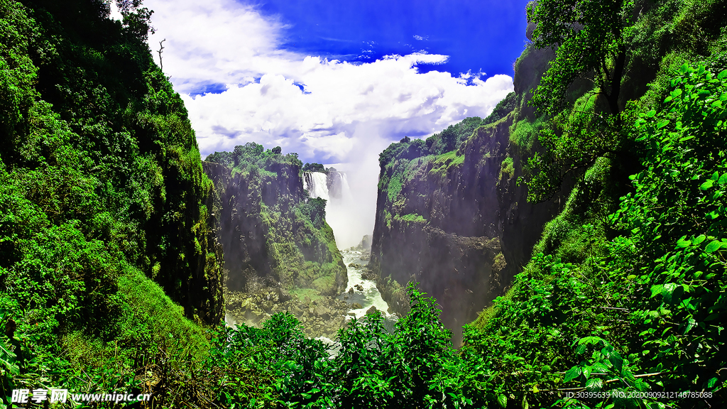 风景