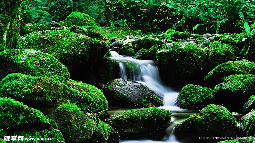 自然风景