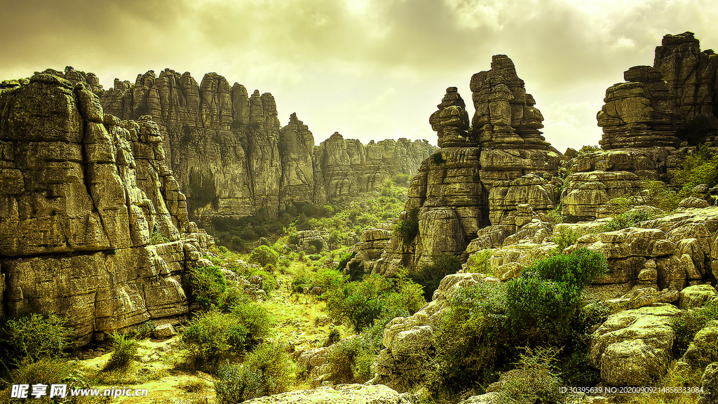 风景