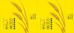 手提袋展开图