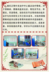 医疗彩页