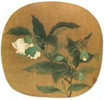 宋人工笔画 花鸟 工笔 国画