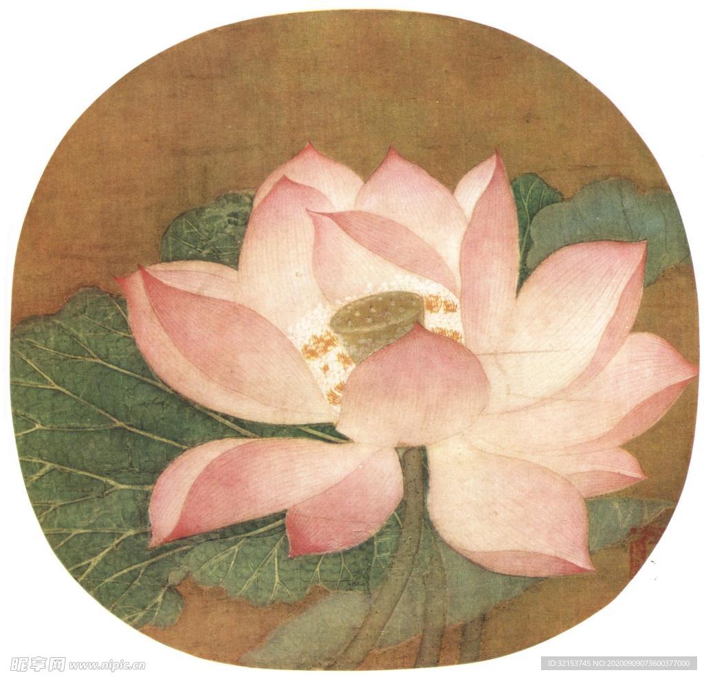 宋人工笔画 花鸟 工笔 国画