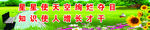 灿烂夺目