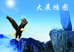 大展鸿图