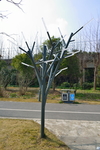 路灯