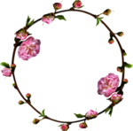 花图片
