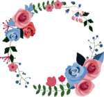花图片