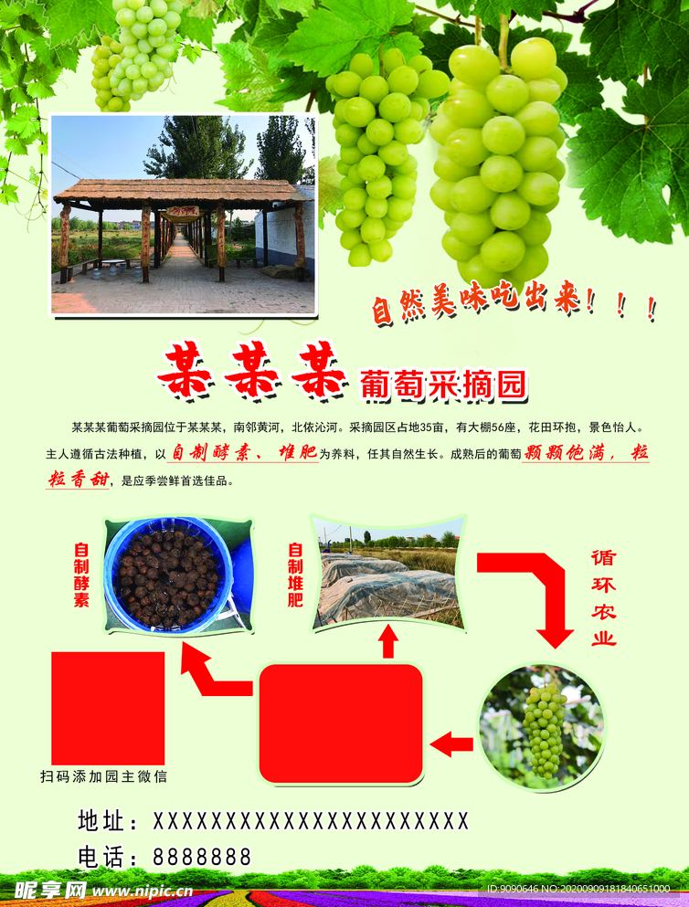 葡萄彩页