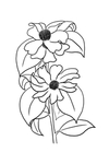 茶花