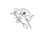 茶花