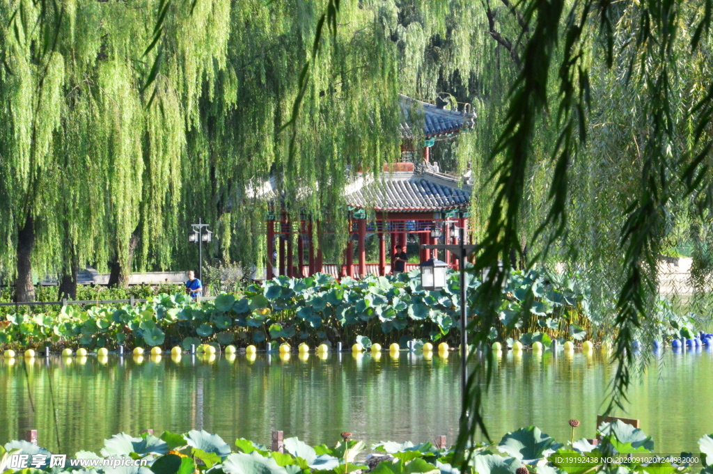 园林风景