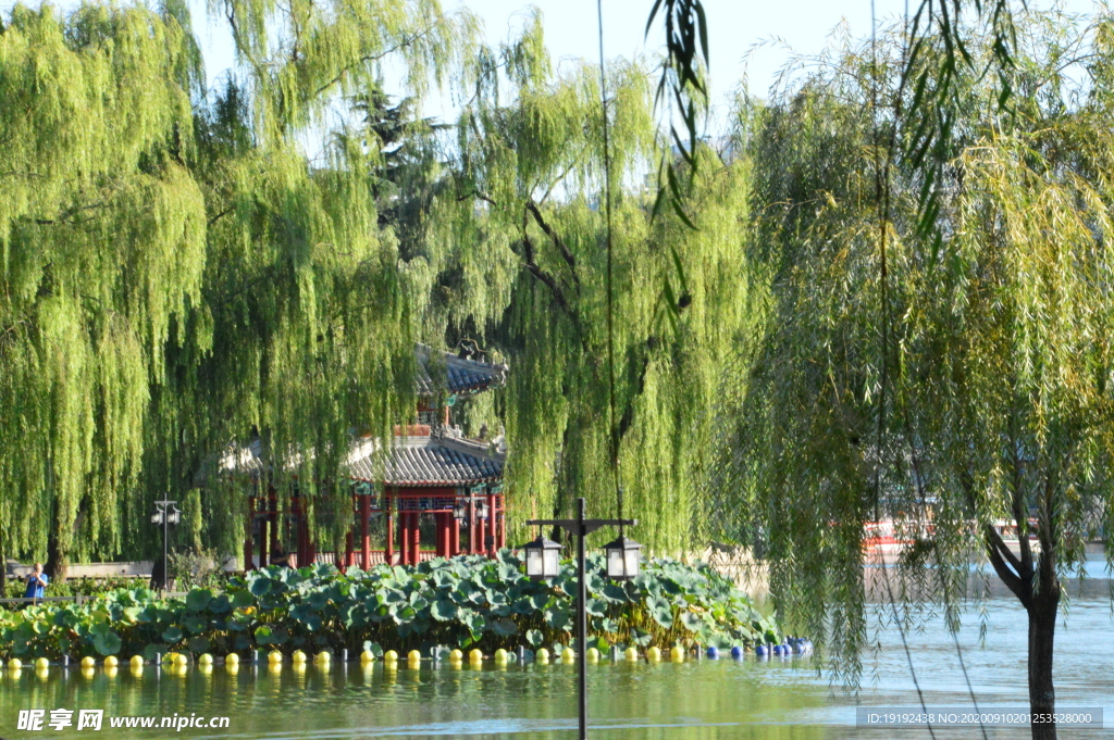 园林风景