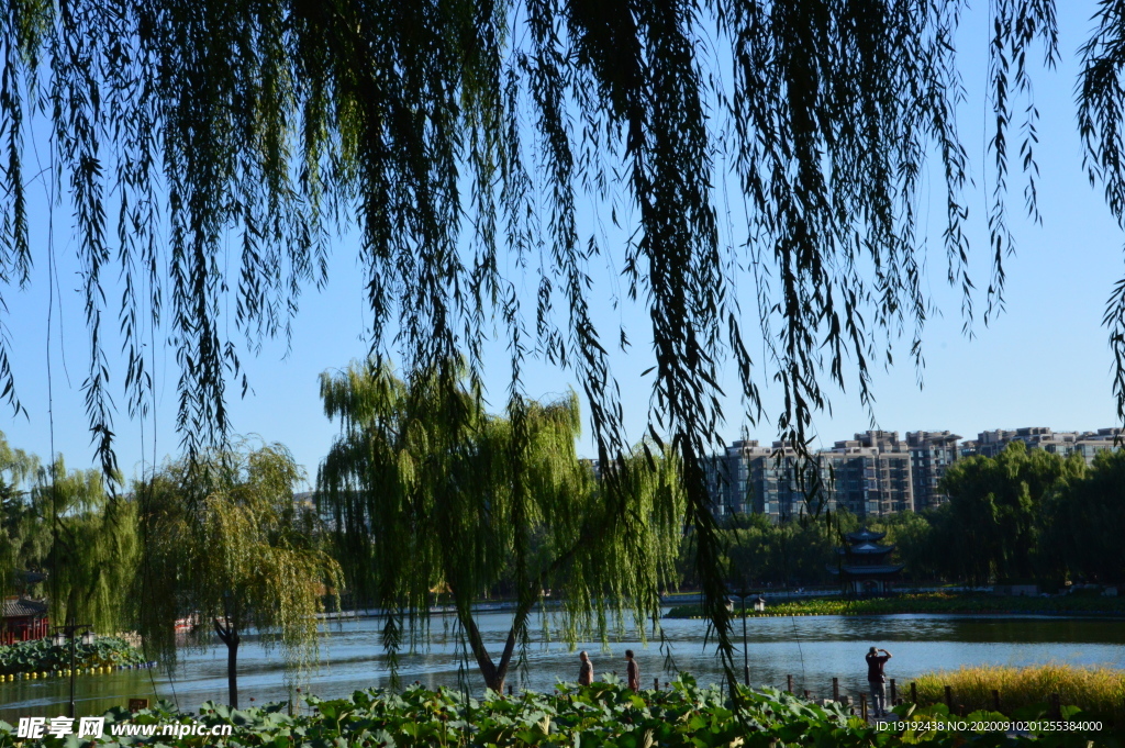 园林风景