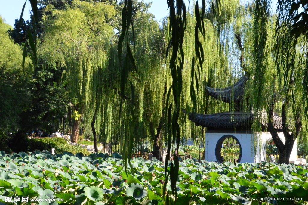 园林风景