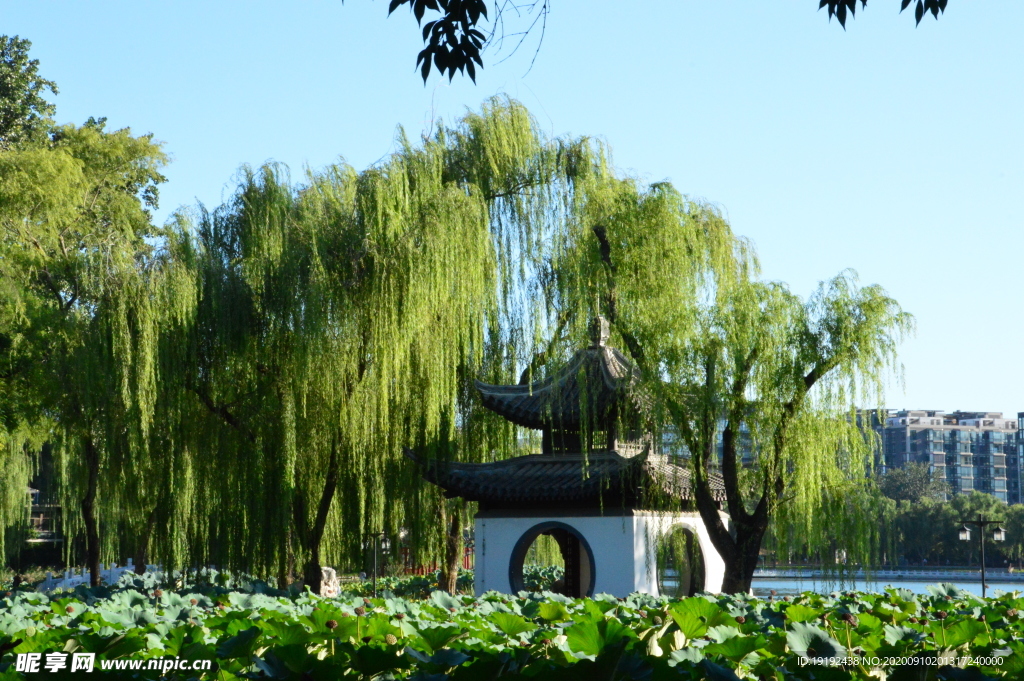 园林风景
