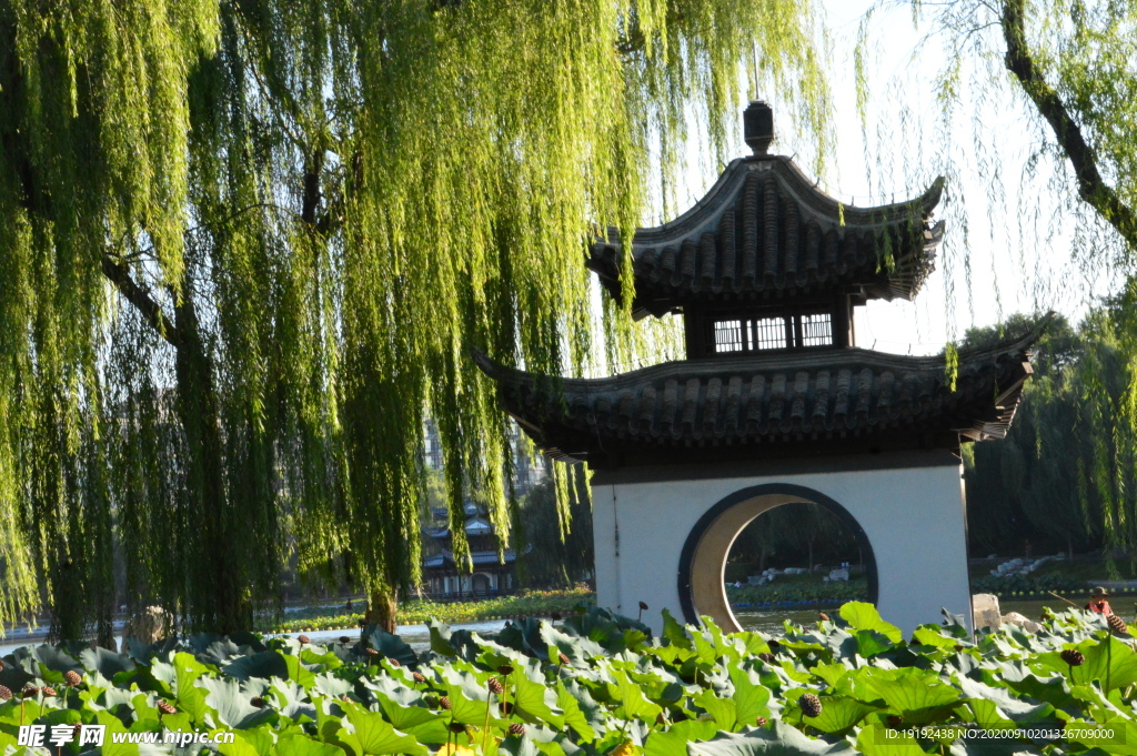 园林风景