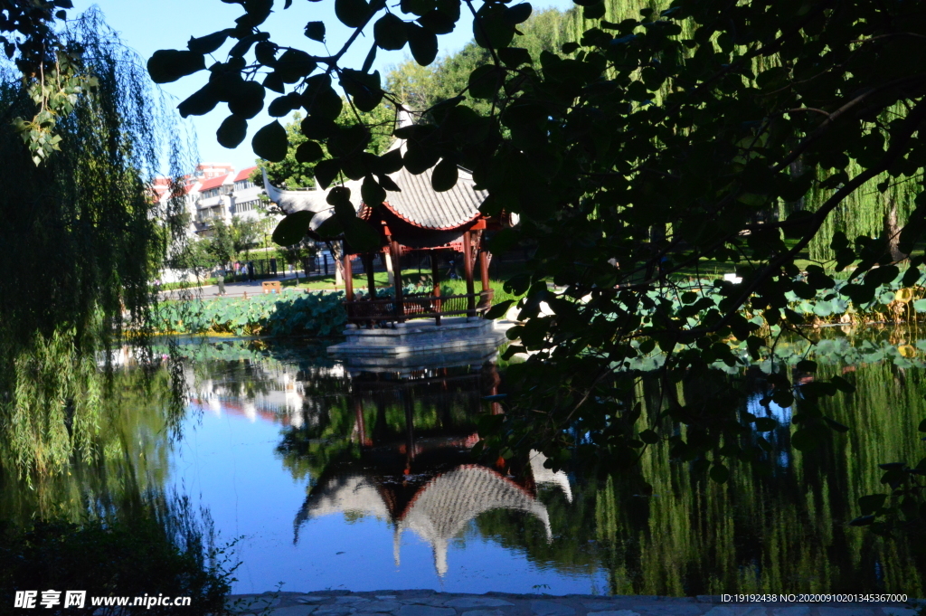 园林风景