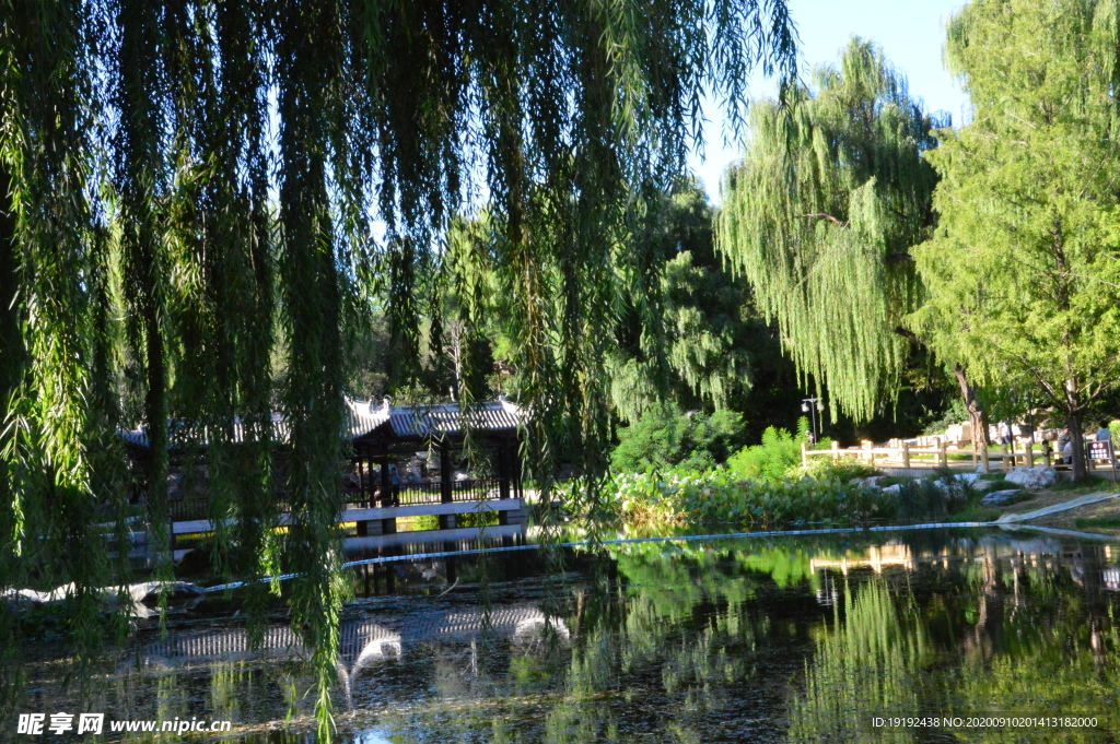 园林风景