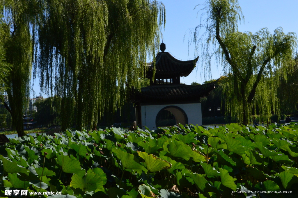 园林风景