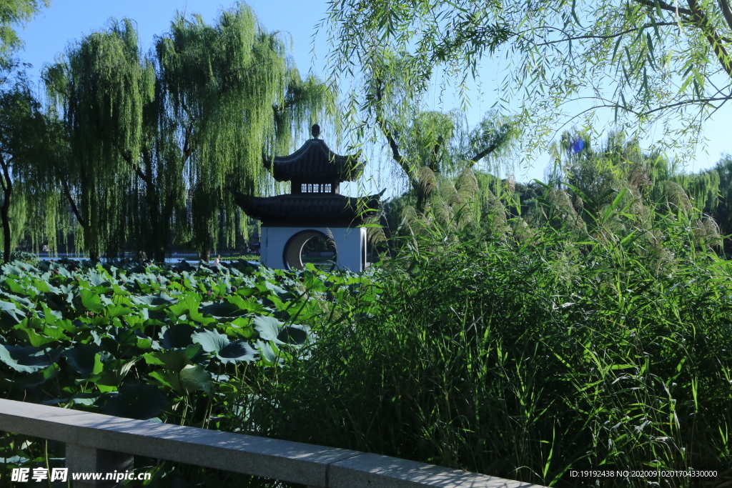 园林风景