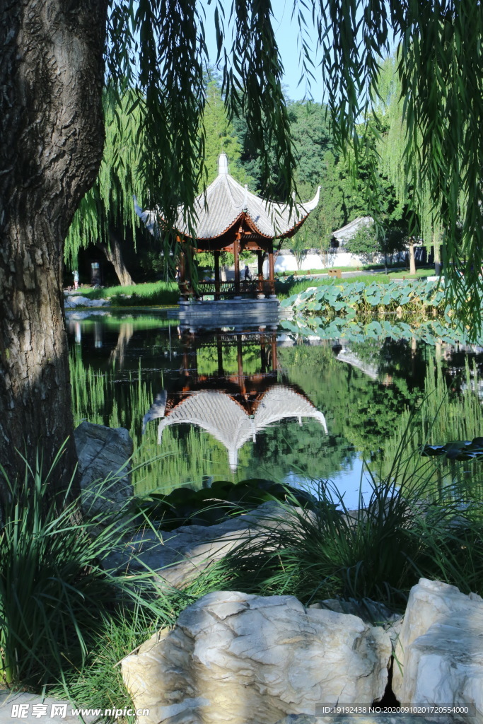 园林风景