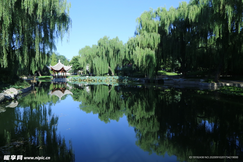 园林风景