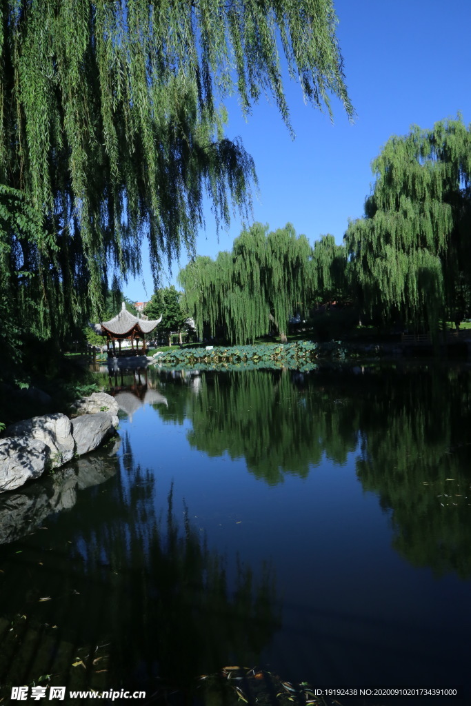 园林风景