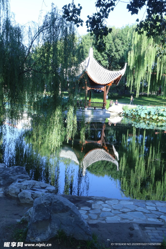园林风景