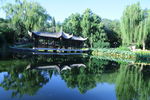 园林风景