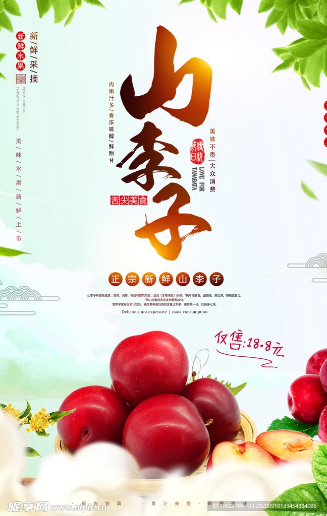 清新山李子水果促销