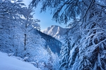 雪景