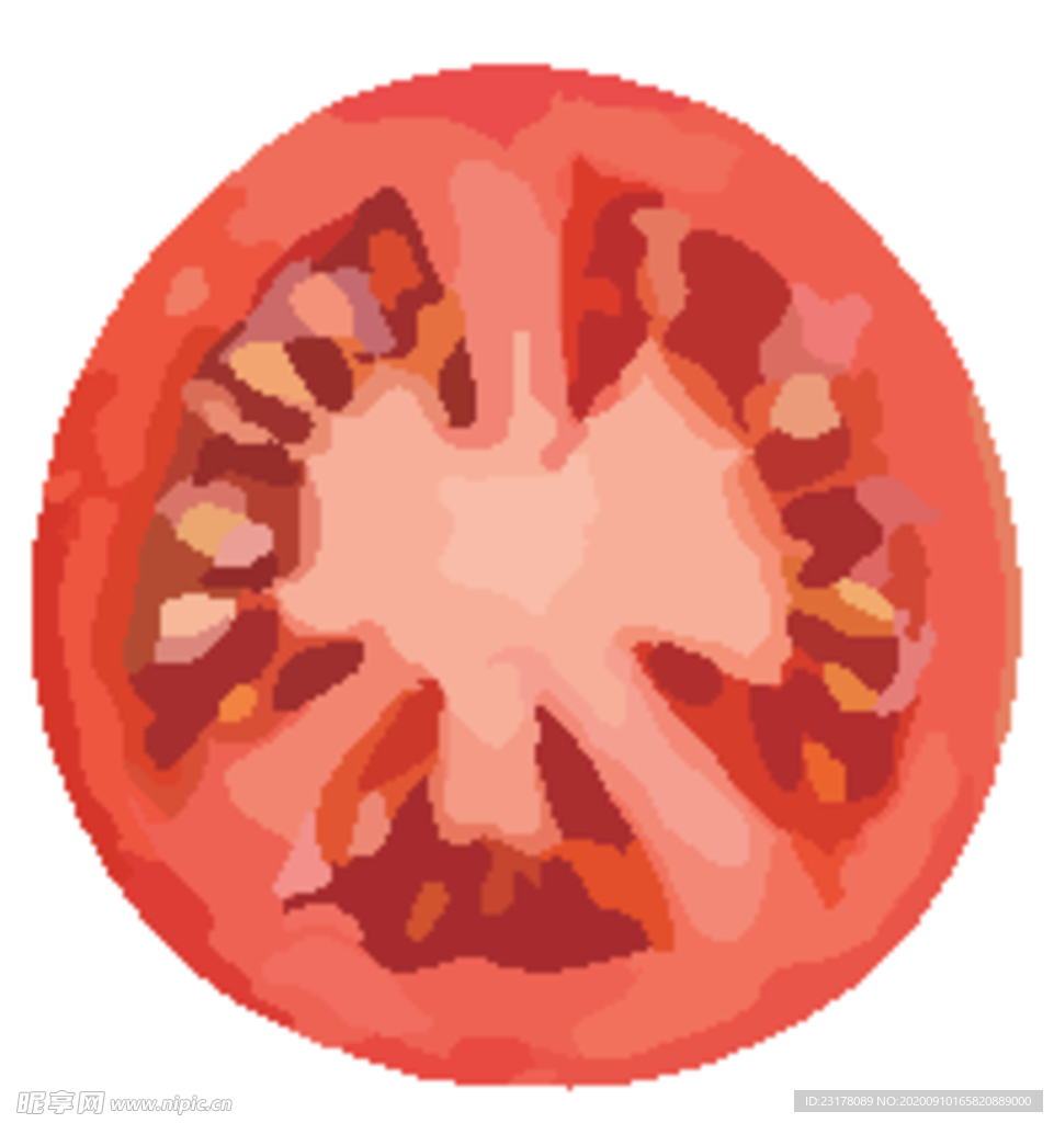 番茄西红柿水果蔬菜切片矢量图