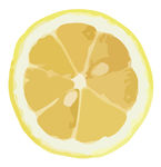 柠檬水果蔬菜切片局部展示矢量图