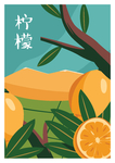 柠檬插画