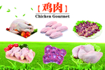 鸡肉结构图