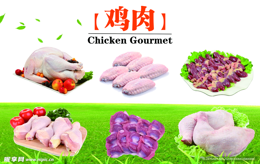 鸡肉结构图