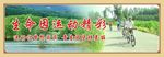 广场海报