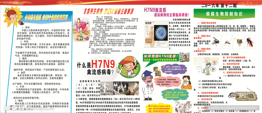 冬季养生  H7N9禽流感