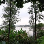 湖泊湿地风景