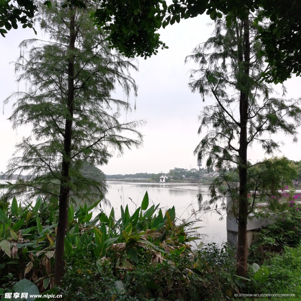 湖泊湿地风景