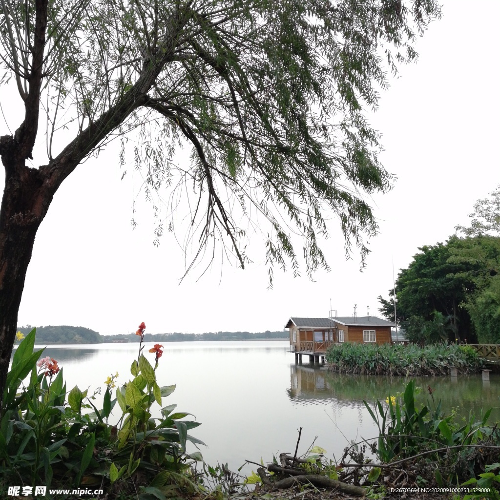 湖泊风景