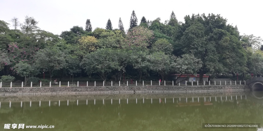 湖泊树林风景