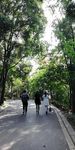 山间公路