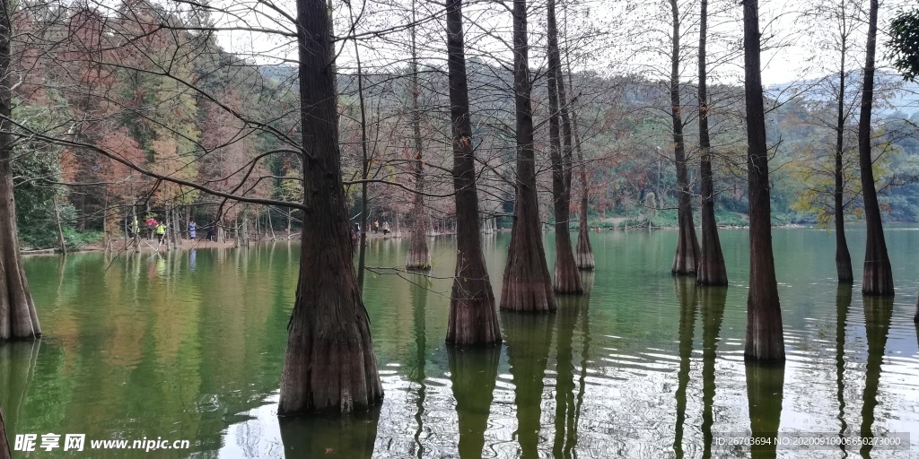 湖泊风光