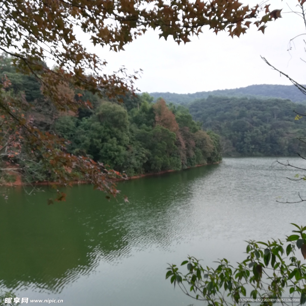 湖泊风景