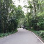 竹林公路